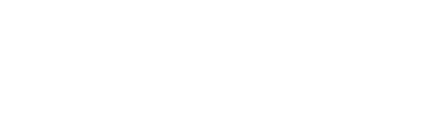 Seguridad Jano